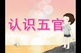 小班健康認識五官PPT課件