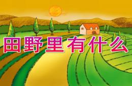 中班社會田野里有什么PPT課件