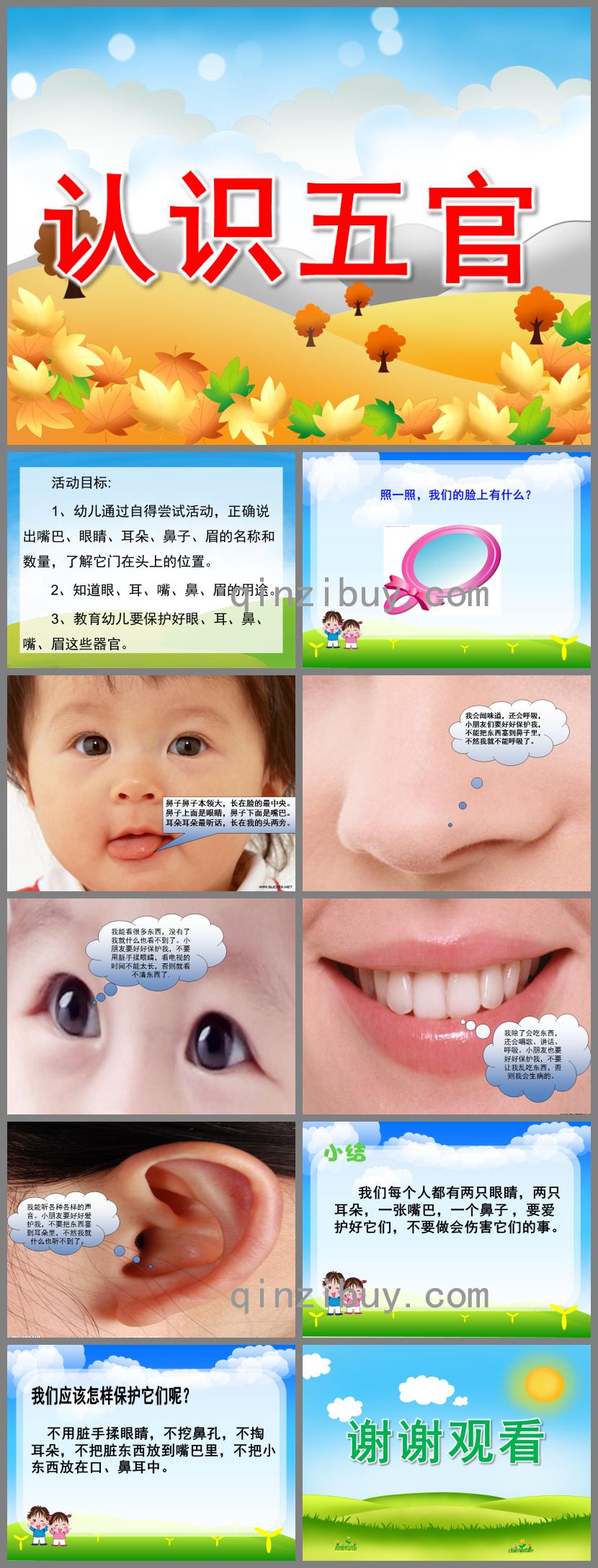 幼兒園認識五官PPT課件