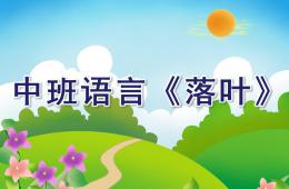 中班語言落葉PPT課件