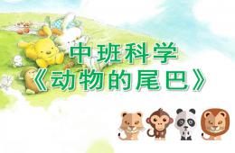 中班科學動物的尾巴PPT課件