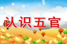 幼兒園認識五官PPT課件