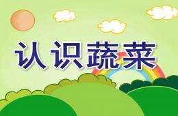認(rèn)識蔬菜PPT課件