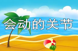 大班健康會動的關節PPT課件