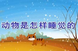 大班科學(xué)動(dòng)物是怎樣睡覺(jué)的PPT課件