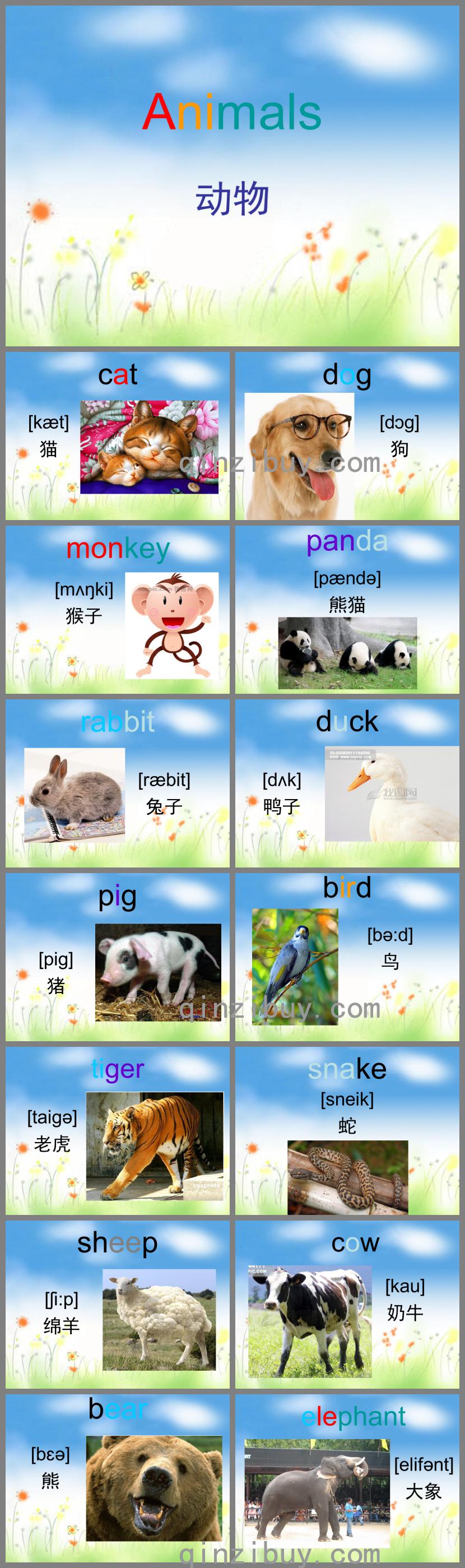 幼兒園英語動物PPT課件