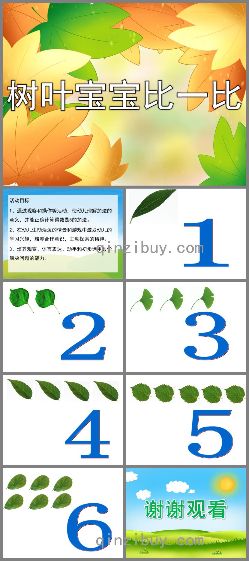 中班數學樹葉寶寶比一比PPT課件