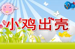 小班小雞出殼PPT課件