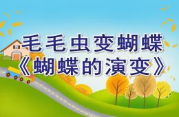 幼兒園毛毛蟲變蝴蝶蝴蝶的演變PPT課件
