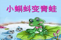 幼兒園科學小蝌蚪變青蛙PPT課件