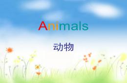 幼兒園英語動物PPT課件