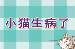 幼兒園小貓生病了PPT課件