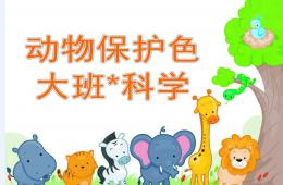 大班科學(xué)優(yōu)質(zhì)課動物保護色PPT課件