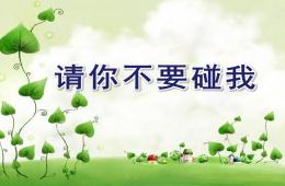 大班健康請(qǐng)你不要碰我PPT課件