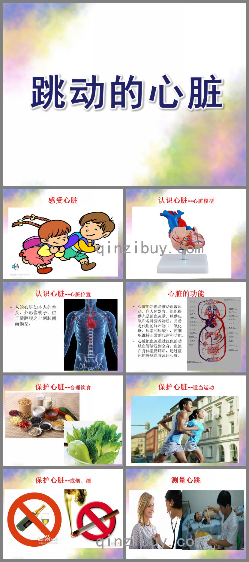 大班科學跳動的心臟PPT課件