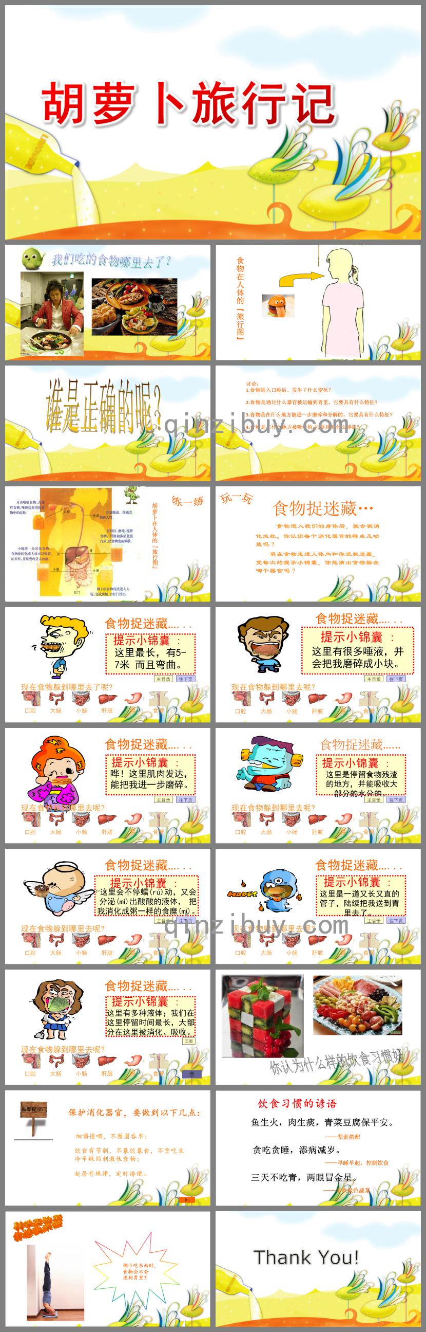大班科學胡蘿卜旅行記PPT課件
