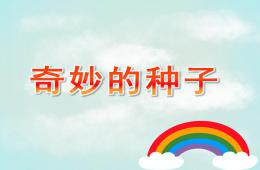 大班科學(xué)活動奇妙的種子PPT課件