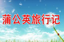 幼兒園蒲公英旅行記PPT課件