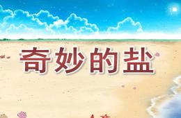 大班科學奇妙的鹽PPT課件