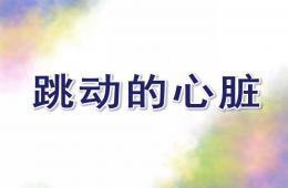大班科學(xué)跳動的心臟PPT課件