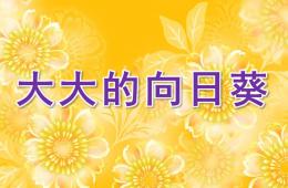 幼兒園大大的向日葵PPT課件
