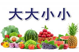 小班數學活動大大小小PPT課件