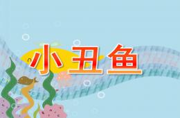 大班社會小丑魚PPT課件