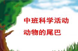 中班科學公開課動物的尾巴PPT課件