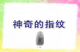 大班神奇的指紋PPT課件