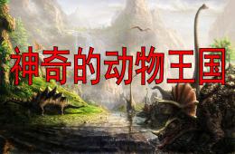 大班科學神奇的動物王國PPT課件
