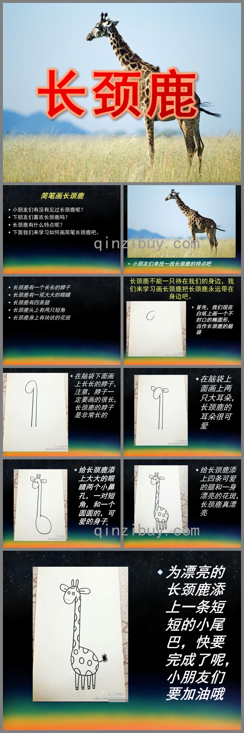 幼兒園簡筆畫長頸鹿PPT課件
