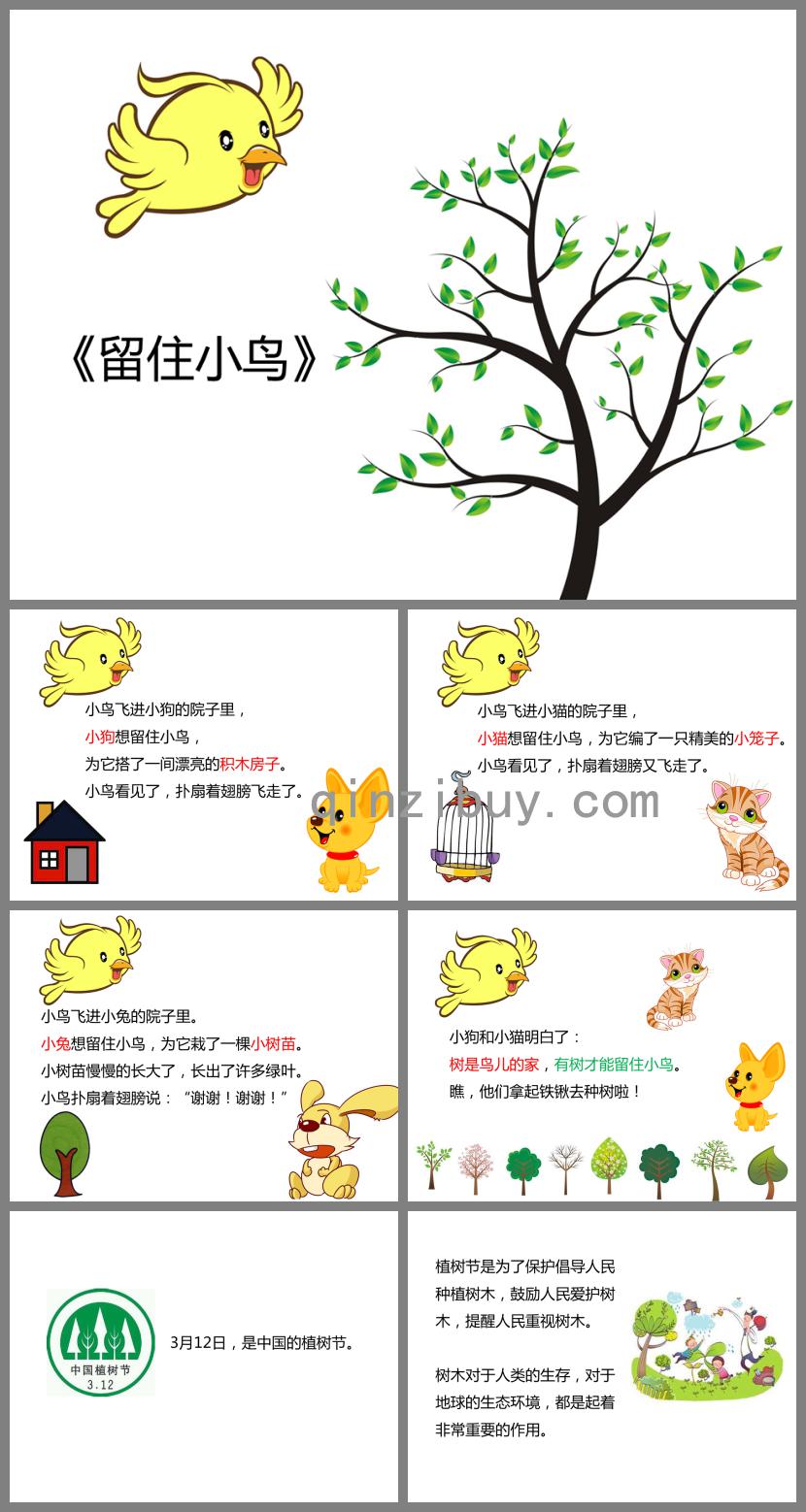大班社會留住小鳥PPT課件