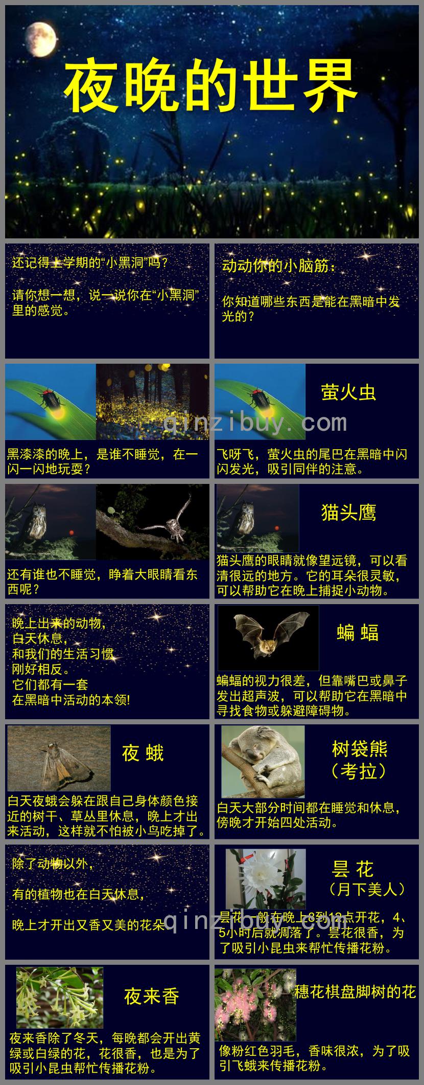 大班科學(xué)夜晚的世界PPT課件