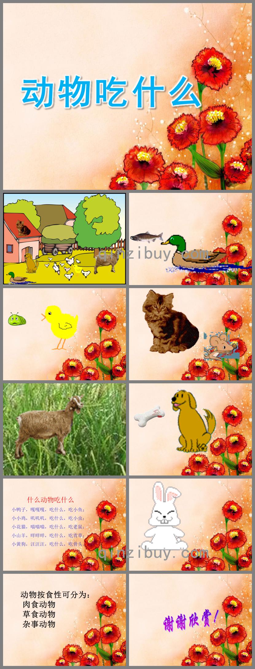 小班科學動物吃什么PPT課件