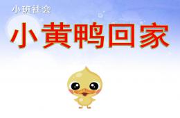 小班社會小黃鴨回家PPT課件