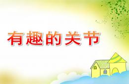 大班科學(xué)有趣的關(guān)節(jié)PPT課件