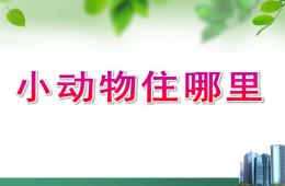 中班數學小動物住哪里PPT課件
