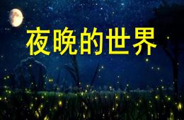 大班科學(xué)夜晚的世界PPT課件