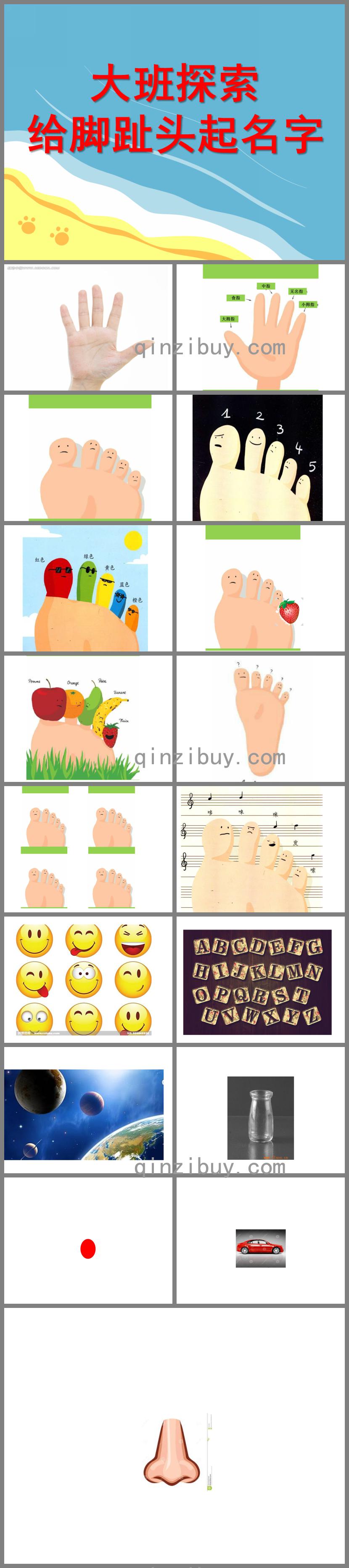 大班探索腳趾頭起名字PPT課件