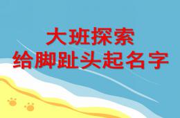 大班探索腳趾頭起名字PPT課件