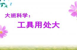 大班科學工具用處大PPT課件