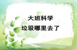 大班科學活動垃圾哪兒去了PPT課件