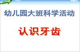 大班科學認識牙齒PPT課件