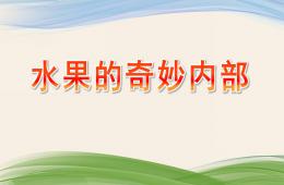 大班科學活動水果的奇妙內部PPT課件