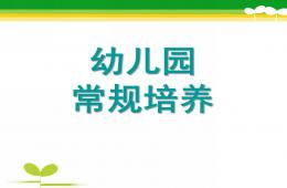 幼兒園班級常規管理PPT課件