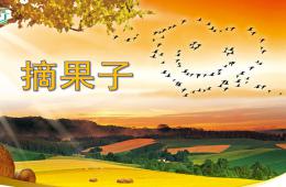 中班音樂(lè)摘果子PPT課件