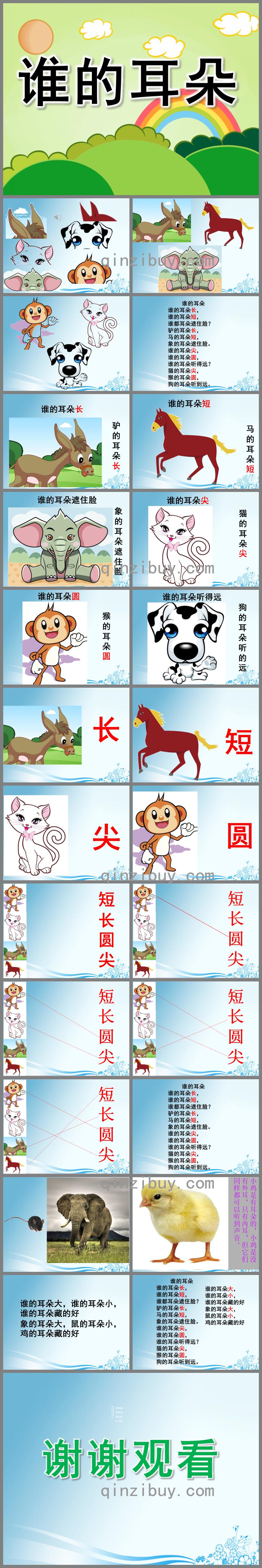 中班語言詩歌誰的耳朵PPT課件音樂