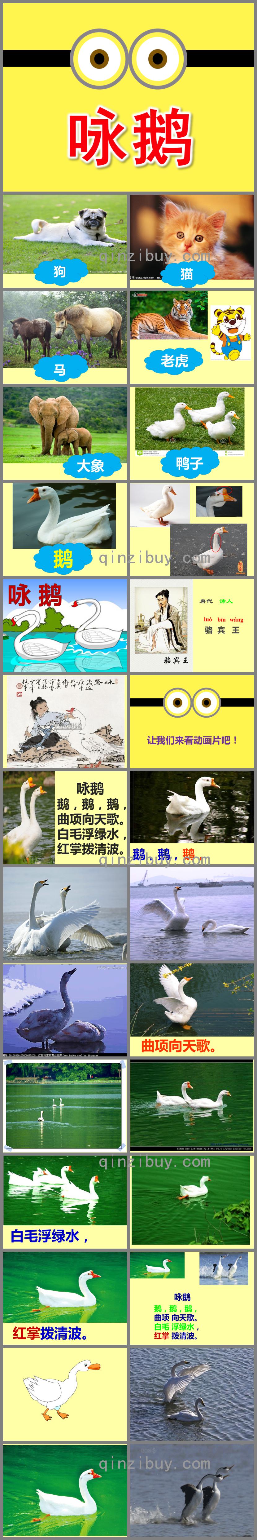 幼兒園古詩詠鵝PPT課件