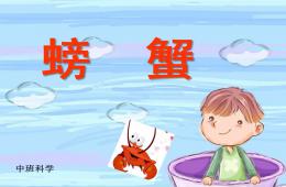中班科學(xué)螃蟹PPT課件