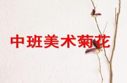中班美術菊花PPT課件